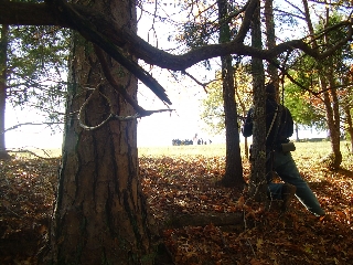 waiting for the enemy